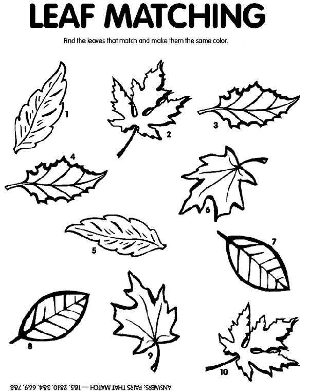Leaf Matching coloring page