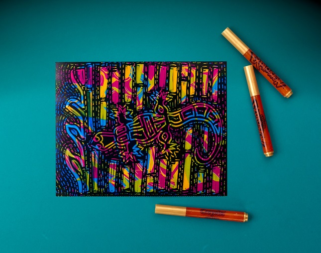Molas Exploding with Color craft