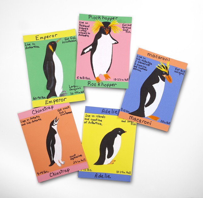 Penguin Fact Card