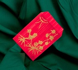 Good Luck in a Red Envelope lesson plan