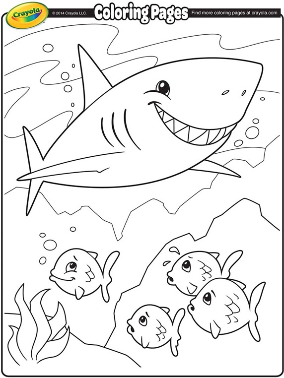 Shark crayolacomau