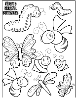 Bright and Beautiful Butterflies 2 coloring page