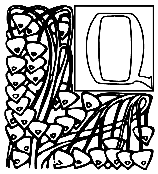 Alphabet Garden Q coloring page