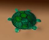 Slow-Poke Turtles craft