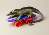 Wild Skateboarding Monitor Lizard craft