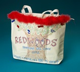 Book Bag with School Spirit craft