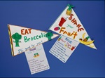 Hooray for Healthy Foods lesson plan