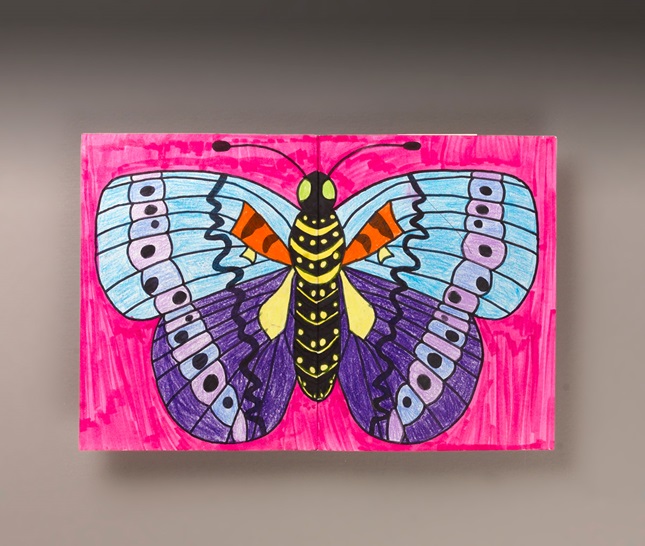 Insect Symmetry lesson plan